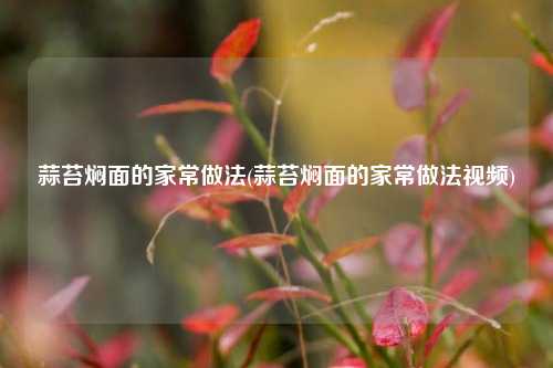 蒜苔焖面的家常做法(蒜苔焖面的家常做法视频)