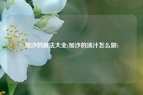 加沙的做法大全(加沙的汤汁怎么做)