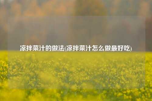 凉拌菜汁的做法(凉拌菜汁怎么做最好吃)