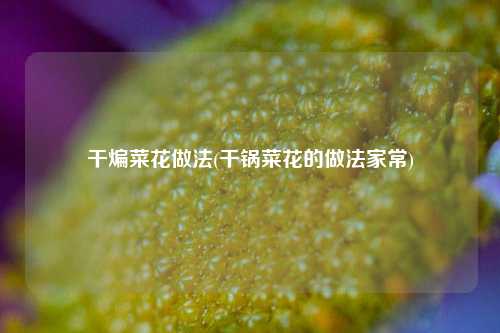 干煸菜花做法(干锅菜花的做法家常)