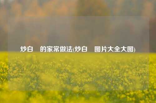 炒白粿的家常做法(炒白粿图片大全大图)