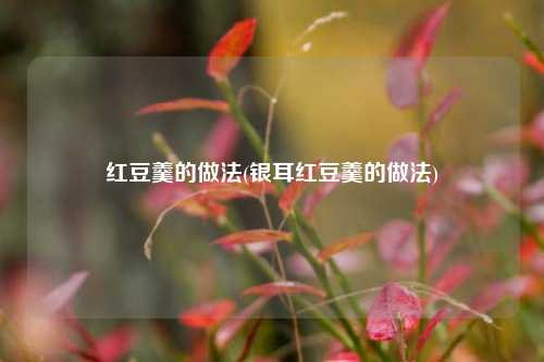 红豆羹的做法(银耳红豆羹的做法)