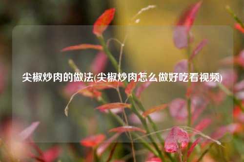 尖椒炒肉的做法(尖椒炒肉怎么做好吃看视频)