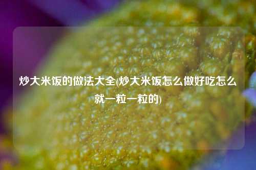 炒大米饭的做法大全(炒大米饭怎么做好吃怎么就一粒一粒的)