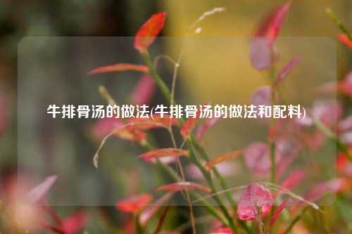 牛排骨汤的做法(牛排骨汤的做法和配料)