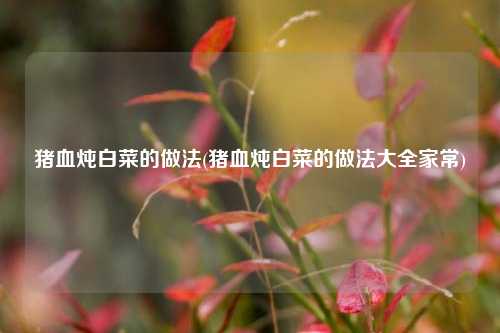 猪血炖白菜的做法(猪血炖白菜的做法大全家常)