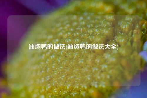 油焖鸭的做法(油焖鸭的做法大全)