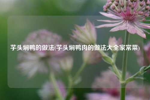 芋头焖鸭的做法(芋头焖鸭肉的做法大全家常菜)
