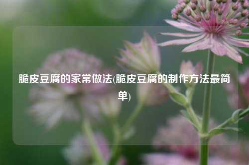 脆皮豆腐的家常做法(脆皮豆腐的制作方法最简单)