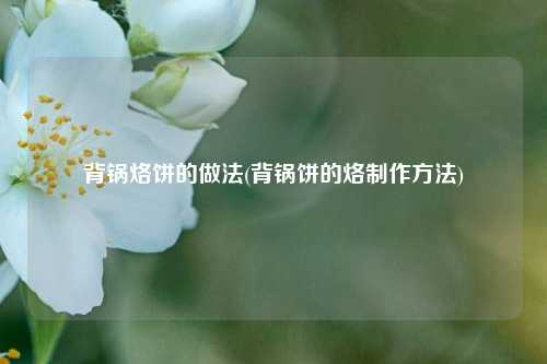 背锅烙饼的做法(背锅饼的烙制作方法)