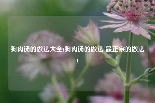 狗肉汤的做法大全(狗肉汤的做法 最正宗的做法)