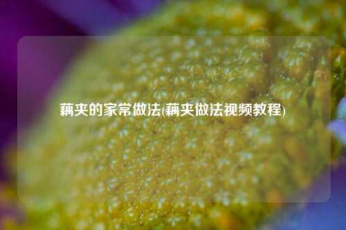 藕夹的家常做法(藕夹做法视频教程)