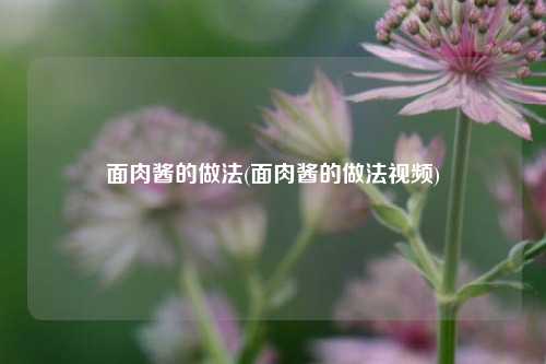 面肉酱的做法(面肉酱的做法视频)