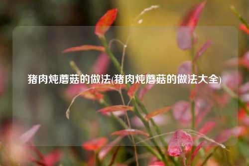 猪肉炖蘑菇的做法(猪肉炖蘑菇的做法大全)