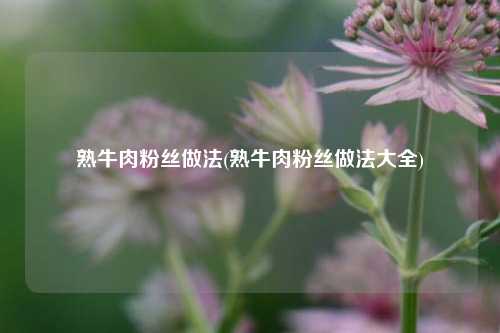 熟牛肉粉丝做法(熟牛肉粉丝做法大全)