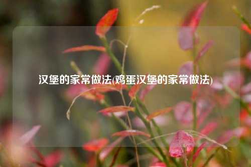 汉堡的家常做法(鸡蛋汉堡的家常做法)
